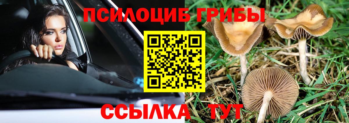 Псилоцибиновые грибы Magic Shrooms Ипатово