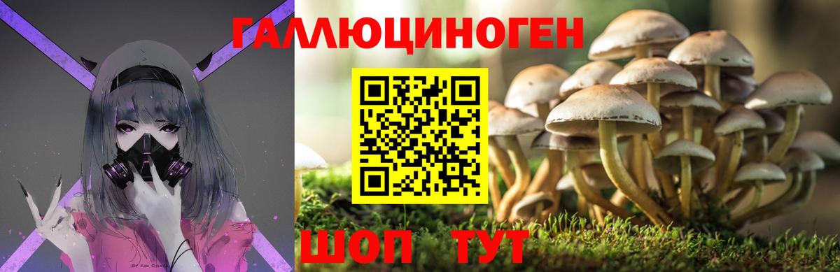 Ипатово  Псилоцибиновые грибы прущие грибы  Вход с VPN  Галлюциногенные грибы мухоморы 